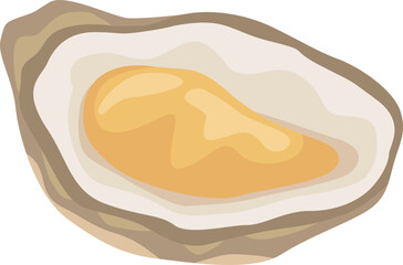 Open oyster vector illustration highlighting the contrast between the soft, fleshy inner body and the rough texture of the outer shell, ideal for seafood restaurant menus or culinary illustrations
