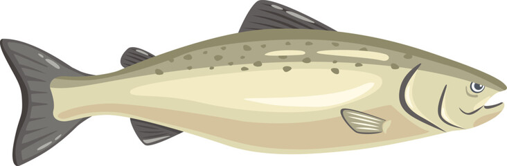 Realistic vector illustration featuring a cutthroat trout swimming underwater, highlighting distinctive red slashes under the jaw and speckled olive green body
