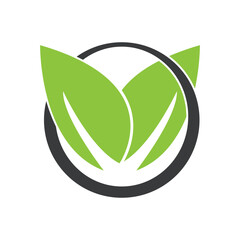 leaf nature icon vector illustration template design