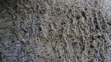 Wrinkled Dirty Dusty Fabric Texture - Perfect for Backgrounds
