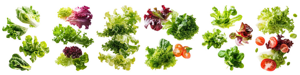 Fresh colorful assorted lettuce varieties, PNG element set on transparent background