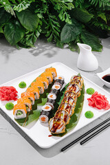 Delicious sushi platter featuring various rolls and garnishes served on a white plate