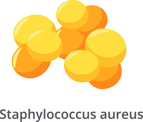 Staphylococcus aureus bacteria forming irregular grape like clusters, a common cause of skin infections, respiratory disease and food poisoning, are showing antibiotic resistance