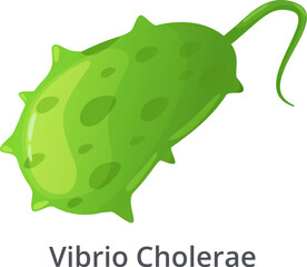 Vibrio Cholerae bacteria, responsible for the infectious disease cholera, is depicted moving with its flagellum, highlighting its motility and role in spreading the illness