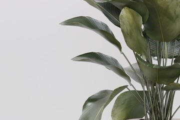 Plant pots in various natural shapes On a white background, 3D