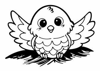 black and white bird