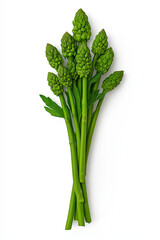 Obraz premium A floating bunch of green asparagus spears, isolated on white background.