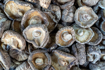 A top-down shot of dry Shiitake mushrooms at a local market in Thailand
