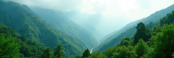 Obraz premium Misty mountainside blanketed with lush foliage, natural, leafy