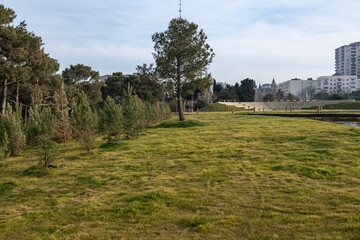 City Skyline with TV Tower