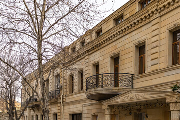 leafless tree near a building
