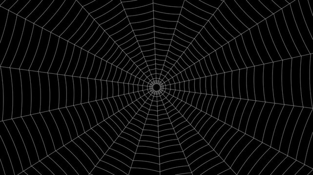 Outline vector white spider web on black background. Seamless animation of rotation movement.
