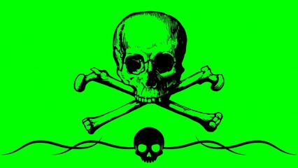 Spooky Skull Divide, Halloween Divider, Human Skull with crossbones. Vector illustration isolated...