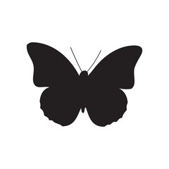 Black butterflies Silhouettes collection. isolated on white background. Vector illustration.