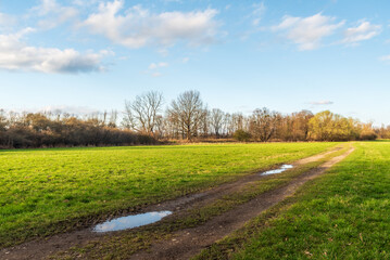 Obraz premium Early springtime countryside with trail with small pools, meadows, shrubs and trees