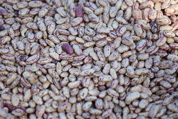 close-up of vibrant cranberry beans &ndash; textured and colorful legume detail