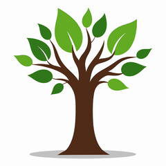 Obraz premium Tree with green leaves on a white background