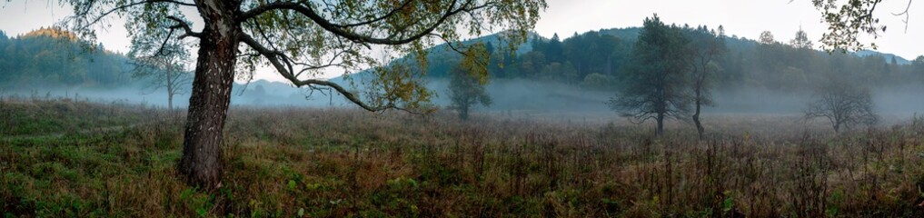 panorama of cloud forest in mountains...Mountain blue gradient landscape.