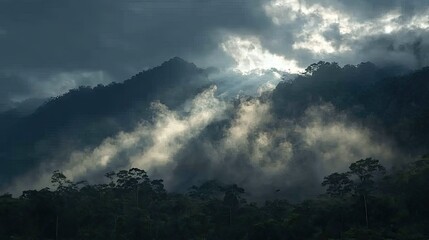 Misty Mountain Rainforest Dawn Sunlight Through Clouds