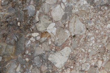 a conglomerate composed of rounded to subangular gravel-size clasts.