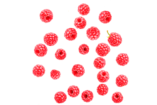 pink raspberry berries isolated on white background on transparent background