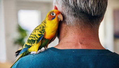 A colorful parrot cuddles against a person’s neck, flaunting its stunning feathers at home.