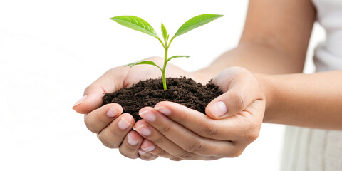 Hands Cradling a Young Plant Sprout Isolated for Promoting Environmental Awareness