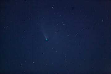 Neowise comet © Artsiom