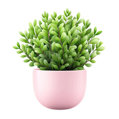 Obraz premium Fresh and Lively Decorative Plant in Pink Pot, cut out