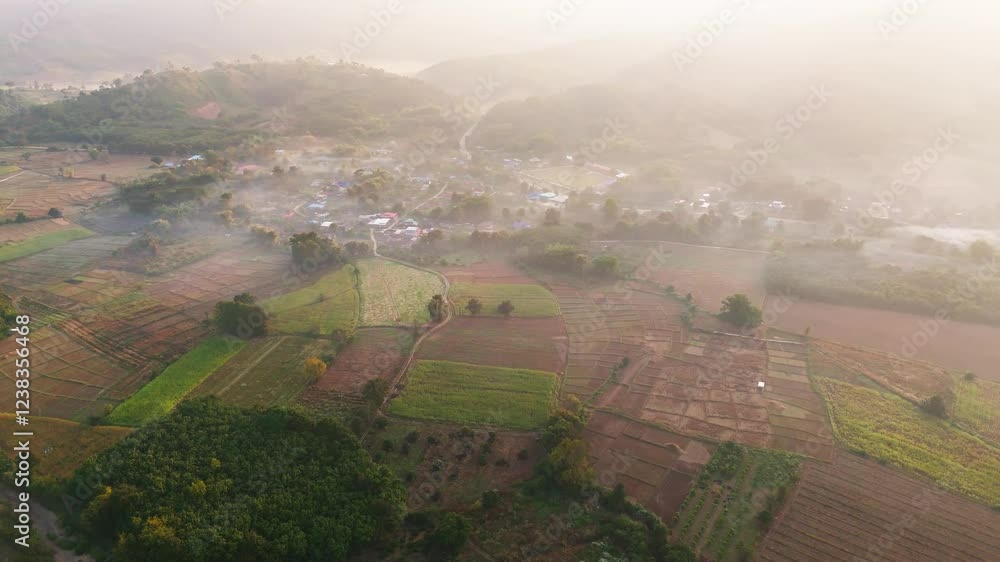 Poster aerial orbit of vast forested hills and fields under a cloudy sky, soft natural light diffuses over 