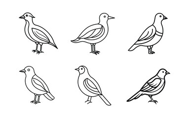 This  features a set of six stylized, black line art illustrations of different bird species.