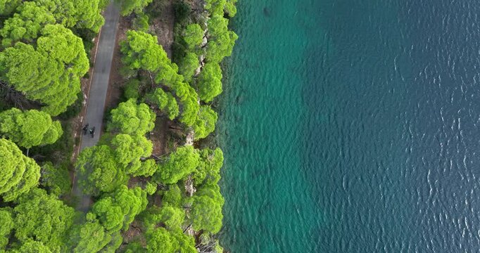 Cyclists on Green Forested Coastal Road - Aerial Reveal Landscape