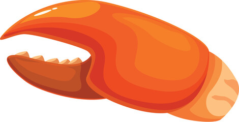 Single cooked crab claw isolated on white background, featuring orange shell and pincers, representing seafood cuisine