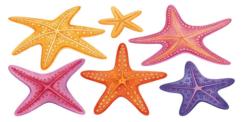 Colorful Starfish in Vivid Colors for Coastal Decor