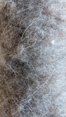 Filt texture background. Close-up pattern. Rough fabric material