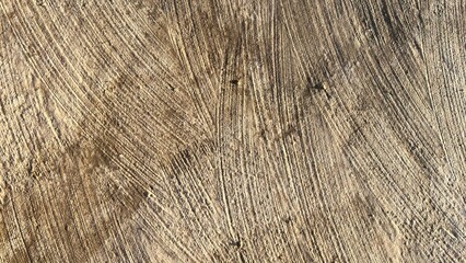Patterns in the sand at the beach during late afternoon sunlight
