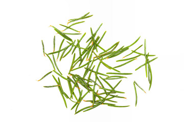A pile of pine needles isolated on a white background.