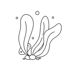 A drawing of a sea plant with a lot of bubbles