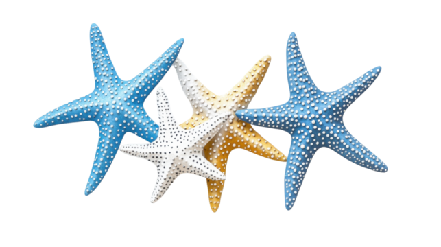 Four colorful starfishes are laying on a transparent background - Powered by Adobe