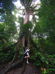 Fototapeta premium person in the forest