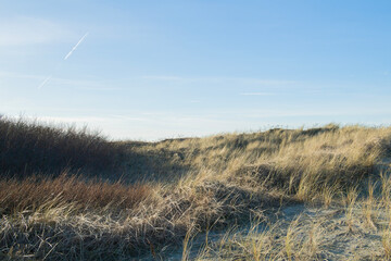 Dünen am Strand von Norddeich