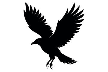 eagle isolated flying bird vector silhouette