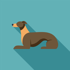 Greyhound lying down, creating a long shadow on a vibrant turquoise backdrop