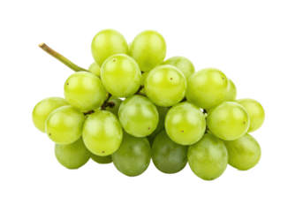 Small bunch of green grapes, isolated on white background, angled view, no depth of field, sharp