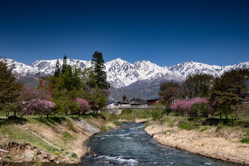 早春の大出公園