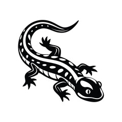 lizard isolated on white