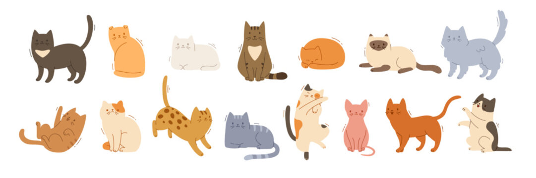 Cute different domestic cat set. Vector flat pets poses collection. Cat breeds big bundle.