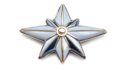 Obraz premium Elegant Blue and White Enamel Star Brooch Gold Accents Jewelry Accessory