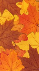 Fototapeta premium Artistic arrangement of overlapping maple leaves in autumn tones with delicate watercolor textures blending softly for seasonal decor