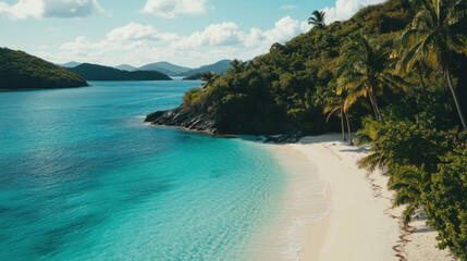 Obraz premium Serene Tropical Beach Scene with Crystal Clear Water, Lush Greenery, and Palm Trees Under a Bright Blue Sky Perfect for Travel and Nature Imagery